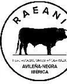 AEANI – Avileña-Negra Ibérica