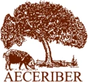 AECERIBER