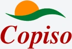 Copiso
