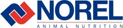 Norel