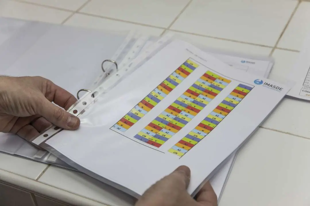 Revisión de resultados de un ensayo