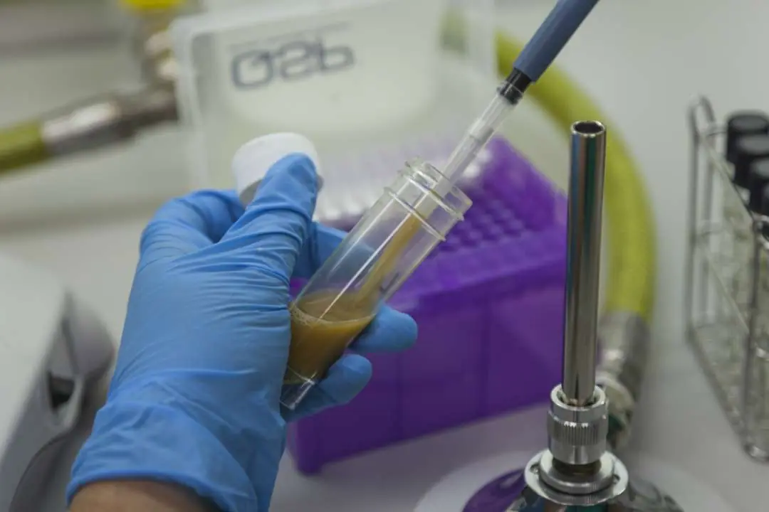Análisis de muestras en el laboratorio