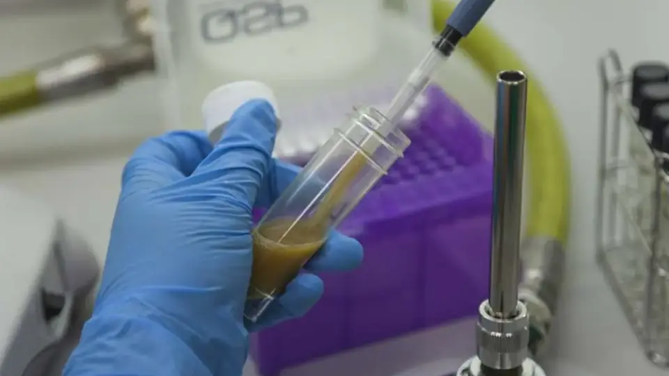 Técnica de laboratorio con una pipeta y tubos de muestra