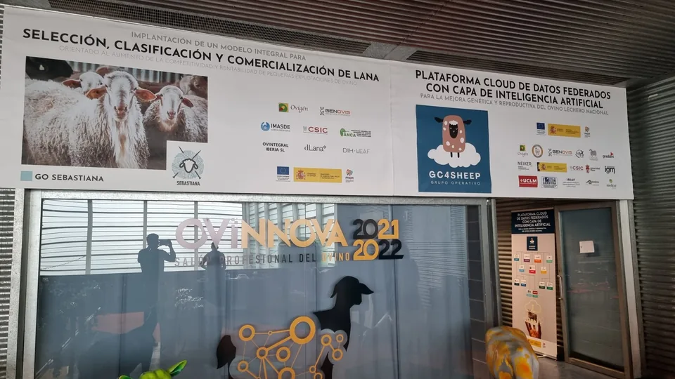 Fotografía del proyecto GO SEBASTIANA