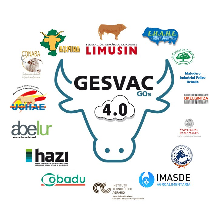 Logotipos de financiación y socios del proyecto GO GESVAC 4.0