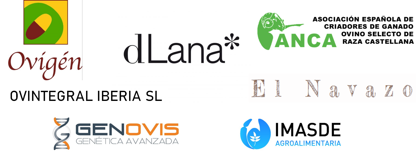 Logotipos de financiación y socios del proyecto GO SEBASTIANA