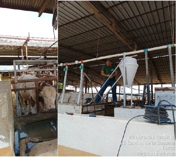 Fotografía del proyecto SMARTBEEF