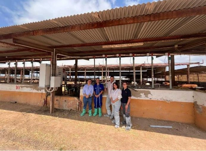 Fotografía del proyecto SMARTBEEF